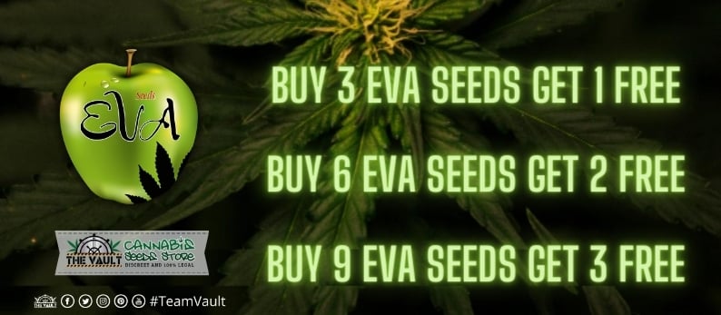 Eva Seeds Vault offer