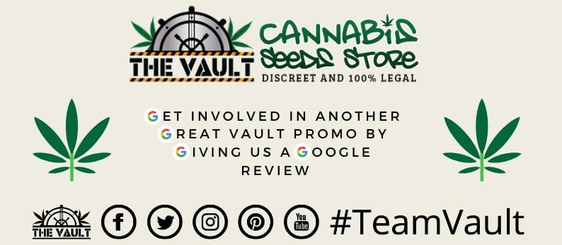 TeamVault Google Reviews