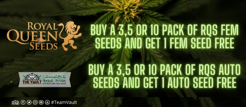 Royal Queen Seeds Vault Promo