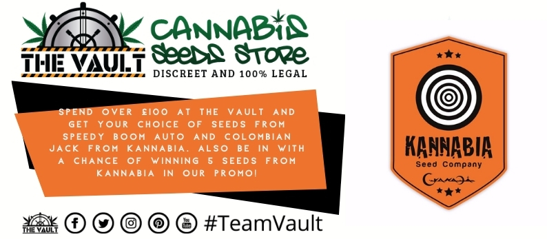 Kannabia Promo Vault Cannnabis Seeds