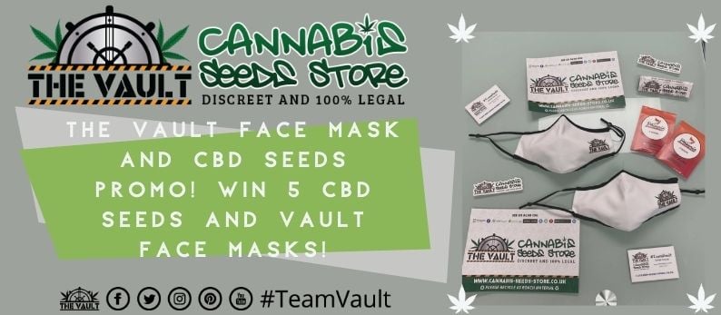 Vault CBD Face Masks Promo