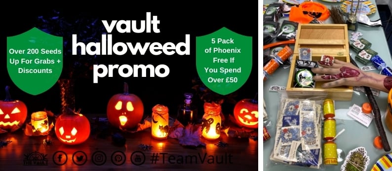 Vault-Halloweed-Promo.jpg