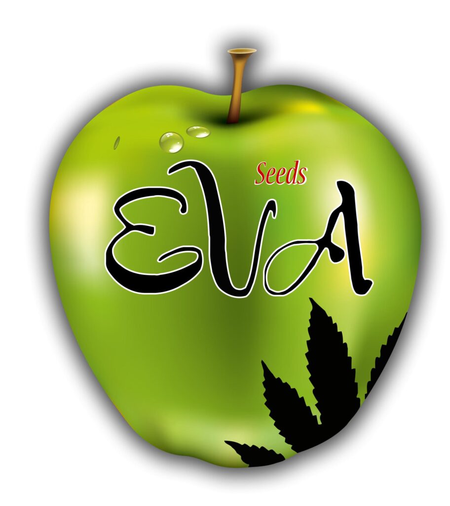 Eva Seeds