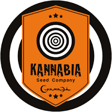 Kannabia Vault Cannabis Seeds