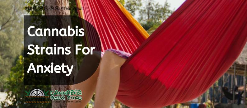 The Vault Cannabis Seed Store 24