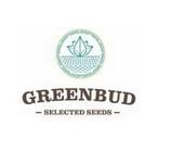 Greenbud Seeds