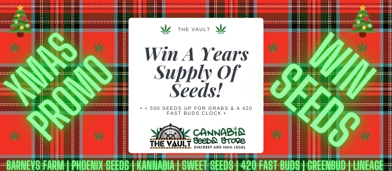 Vault Cannabis Xmas Premier