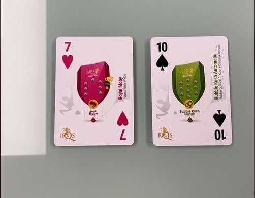 RQS Promo Card Game