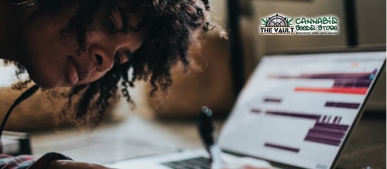 The Vault Cannabis Seed Store Top Study Strains