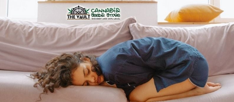 The Vault Cannabis Seed Store27