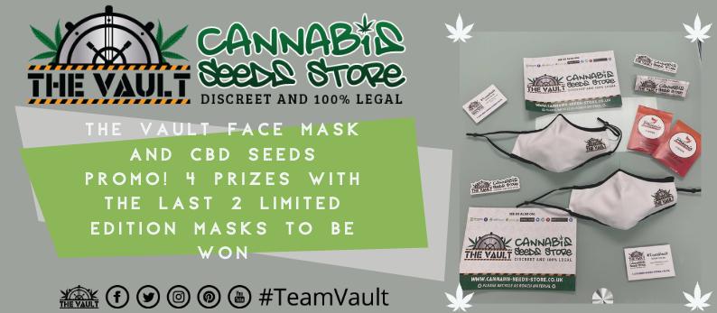 The Vault Cannabis Seed Store56