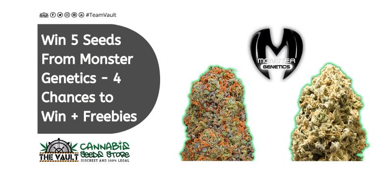 The Vault Cannabis Seed Store Monster Genetics