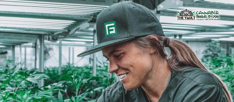 The Vault Cannabis Seed Store Women