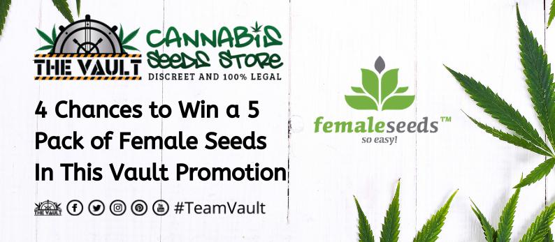 The Vault Cannabis Seed Store Female Seeds