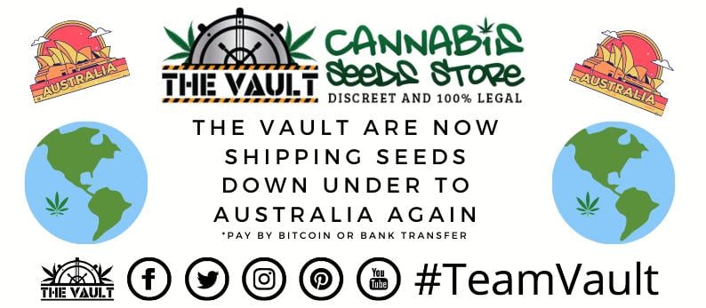 The Vault Cannabis Seed Store Australia