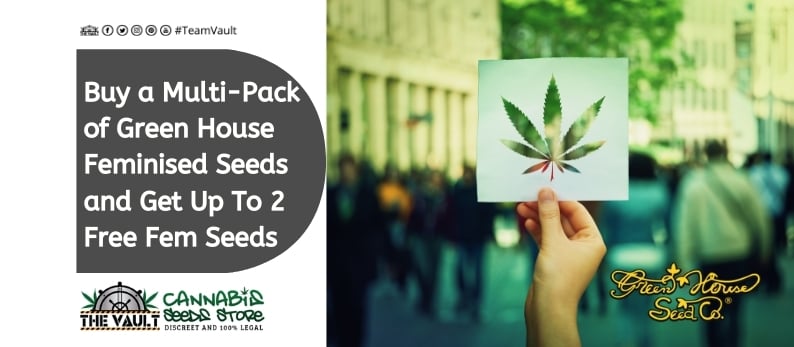 Green-House-Seeds-Promo