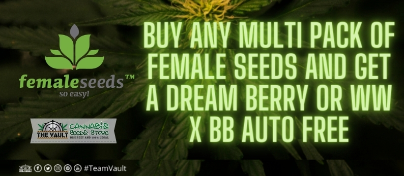 Female-Seeds-Cannabis-Promo