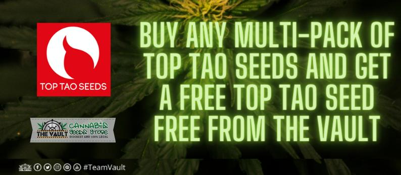 Top Tao Seeds