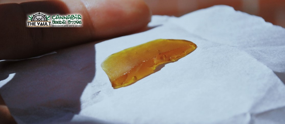 what are cannabis extracts
