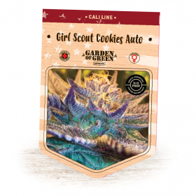 Girl Scout Cookies Auto Feminised Seeds jpg