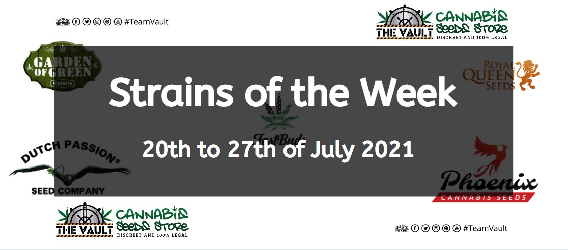 Strains of the Week – 20th to 27th of July 2021