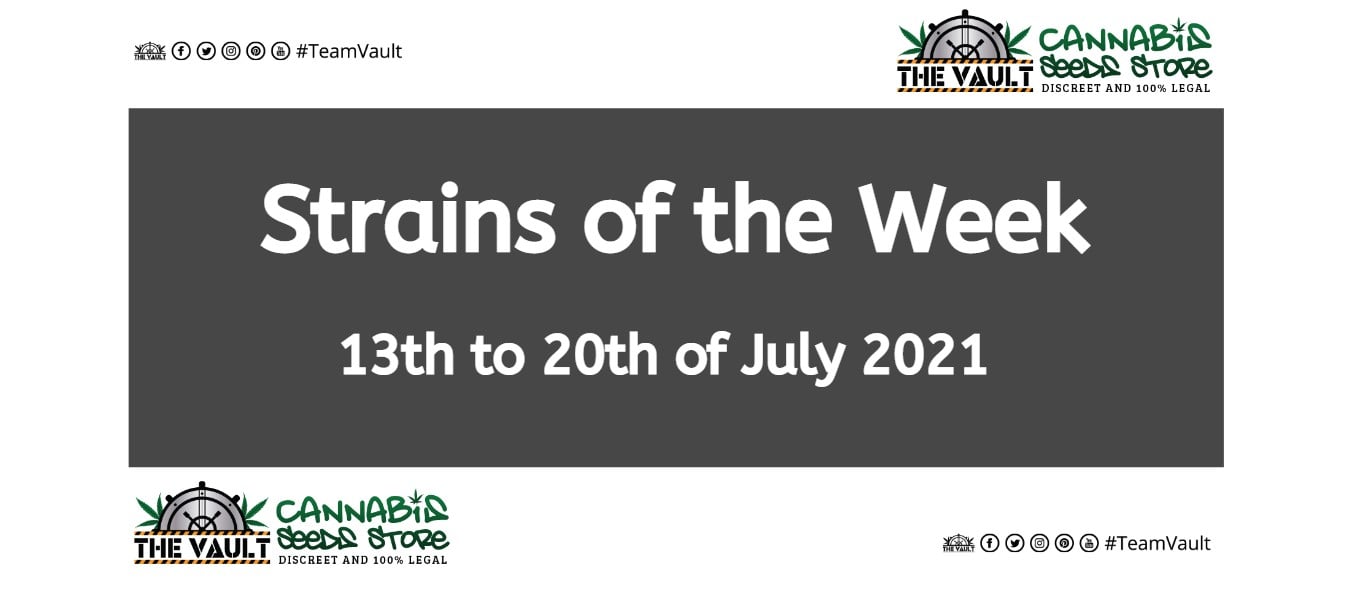 strains of the week 13 to 20 july