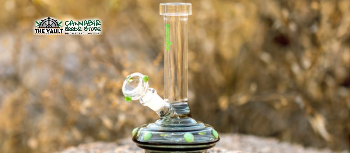 A Basic Guide to Bongs