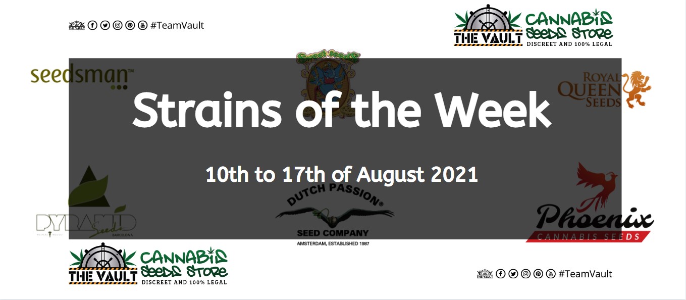 Strains of the Week – 10th to 17th of August 2021