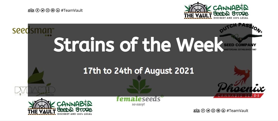 Strains of the Week – 17th to 24th of August 2021
