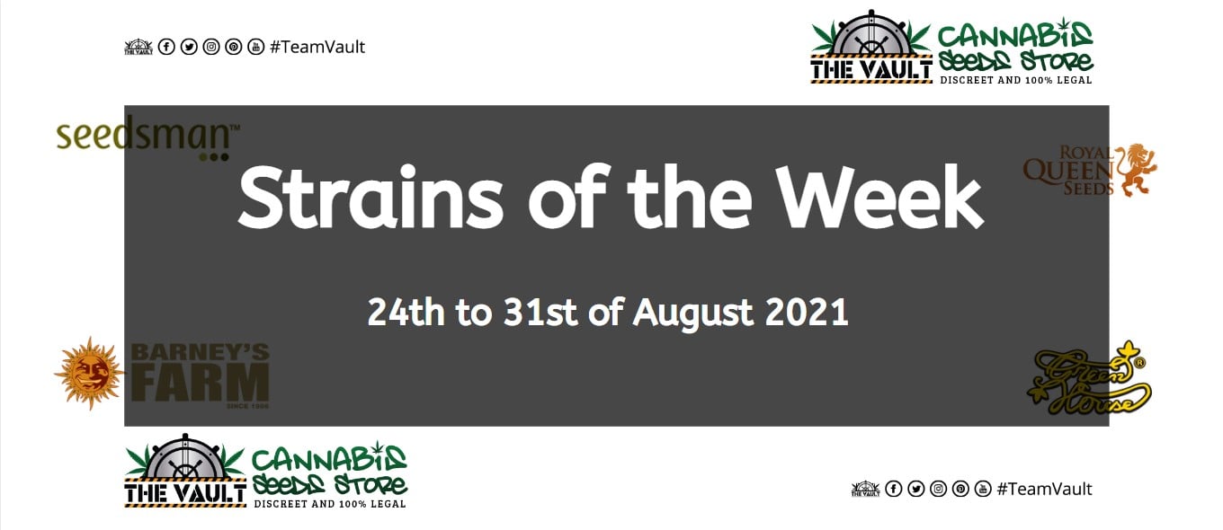 Strains of the Week – 24th to 31st of August 2021 1