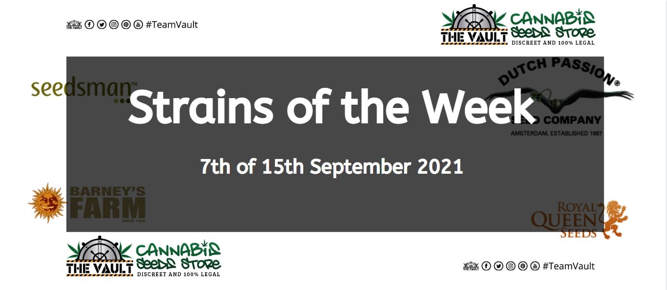 Strains of the Week – 7th of 15th September 2021