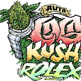 og kush auto feminised seeds seedsman 0