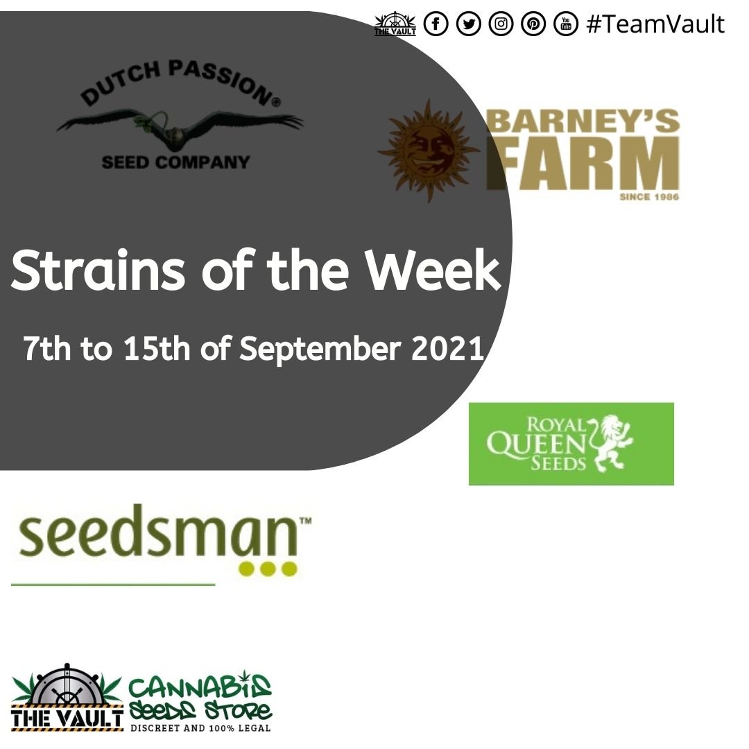 Strains of the Week – 7th of 15th September 2021