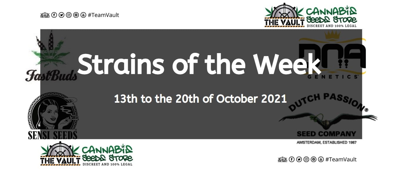 Strains of the Week – 13th to the 20th of October 2021