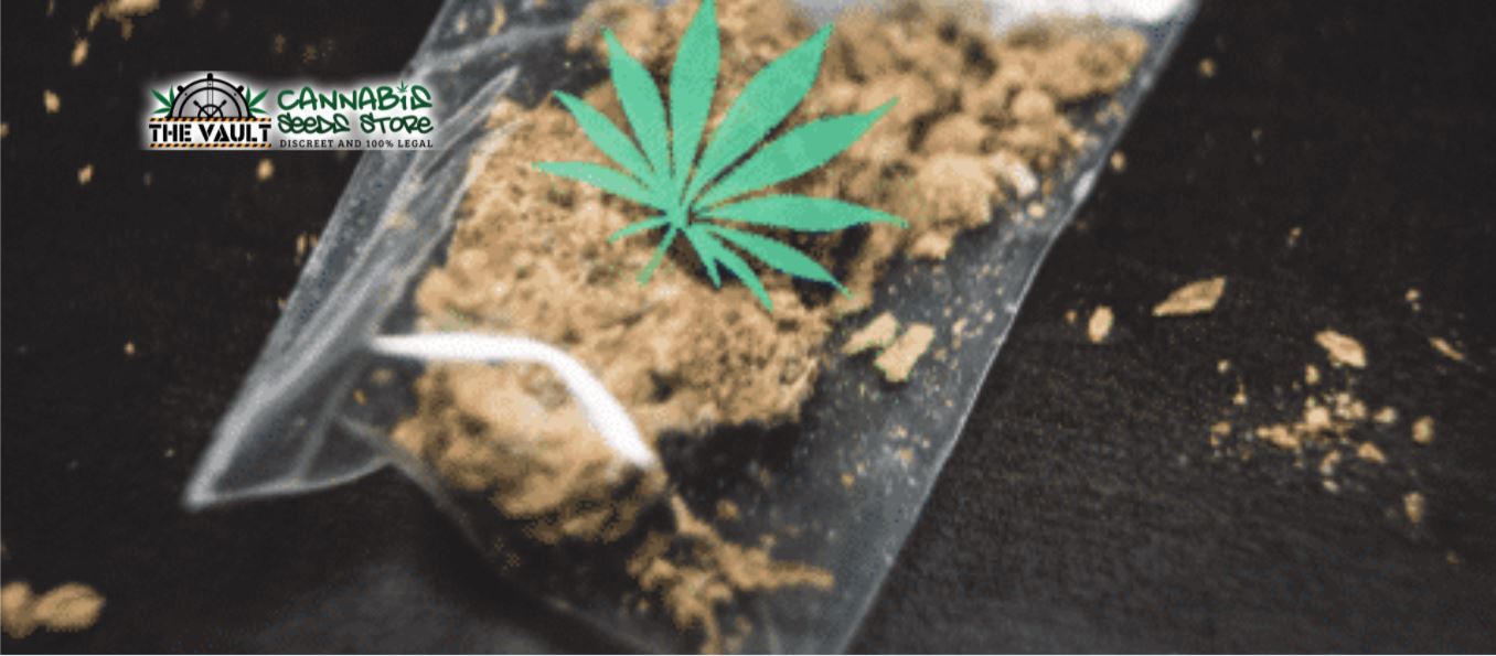 Top Tips for Dispensary Owners