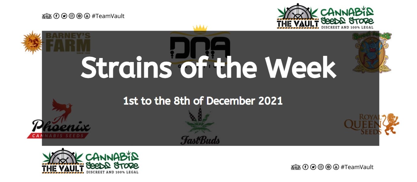 Strains of the Week – 1st to the 8th of December 2021