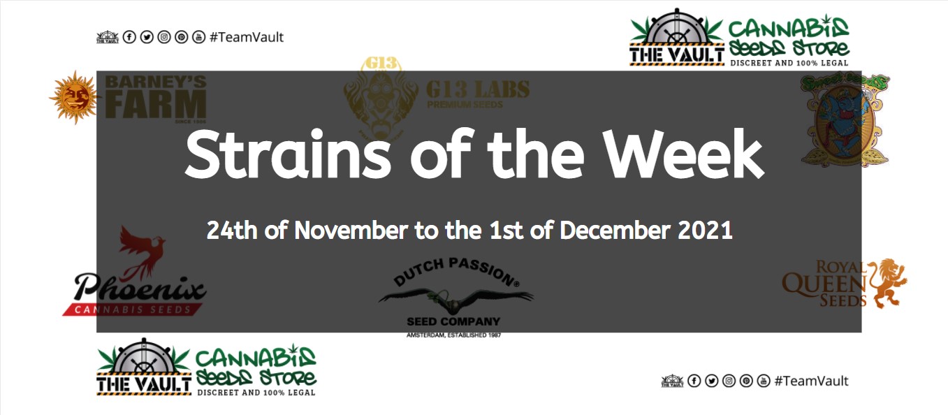 Strains of the Week – 24th of November to the 1st of December 2021