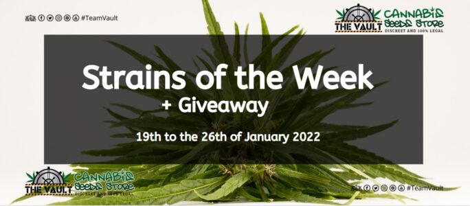 Strains of the Week + Giveaway – 19th to the 26th of January 2022