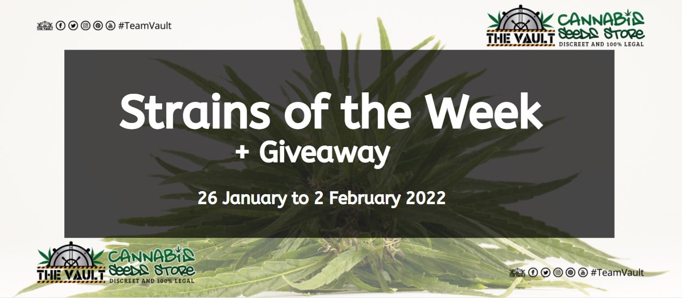 Strains of the Week Giveaway – 26 January to 2 February 2022