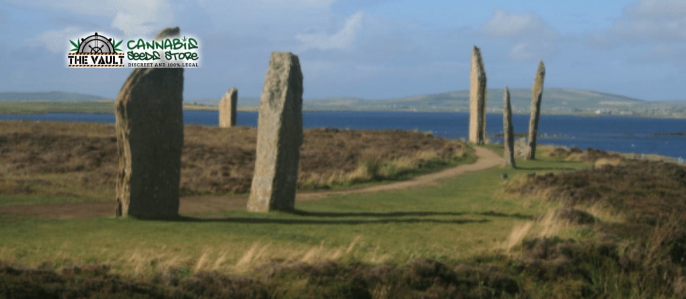 Best Strains For Visiting Orkney