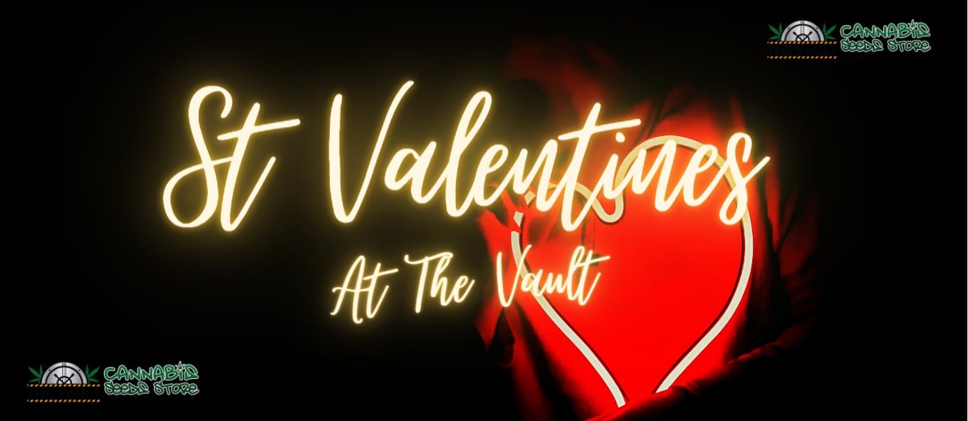 stvalentinesvault2022