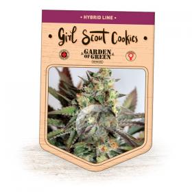Girl Scout Cookies Feminised Seeds jpg
