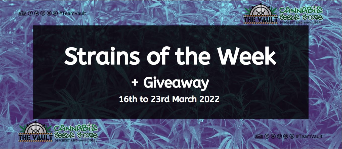 Strains of the Week Giveaway – 16th to 23rd March 2022