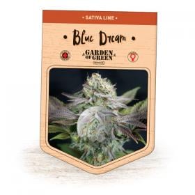 Blue Dream Feminised Seeds jpg 1