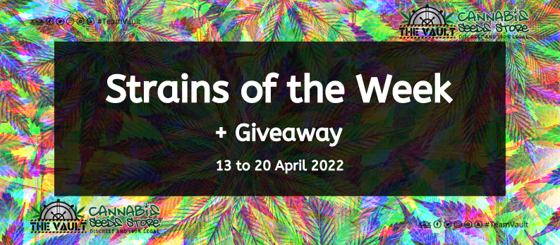 Strains of the Week Giveaway – 13 to 20 April 2022