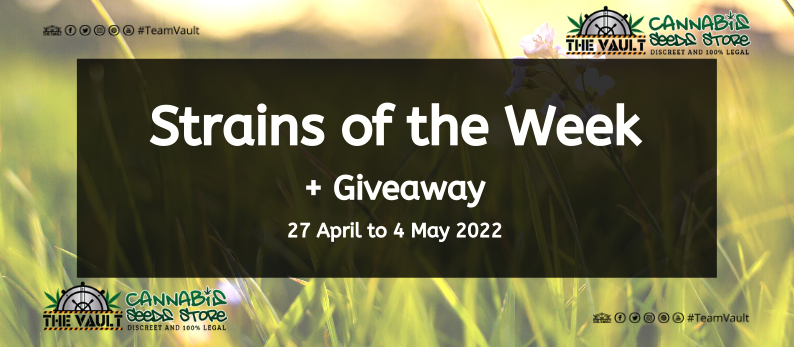 Strains of the Week Giveaway – 27 April to 4 May 2022