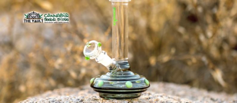 Guide To Bong Use and Maintenance