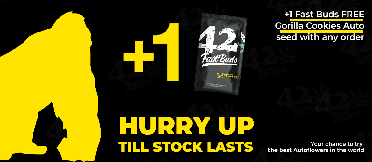 FastBuds Seeds For All! Stunning FastBuds Summer Promo