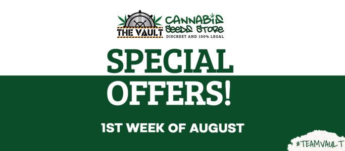 The Vault – Top Promos- 1st Week of August 2022!