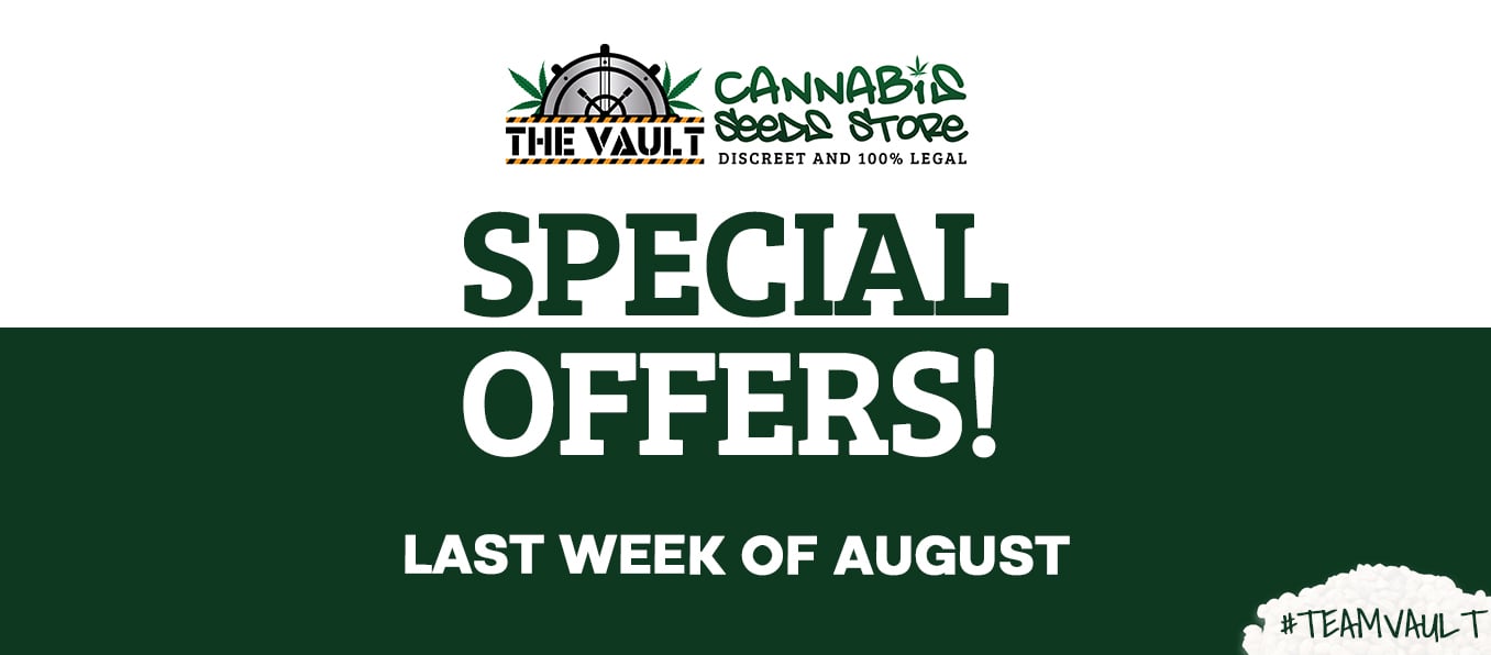 The Vault – Best Promos- Final Week of August 2022!